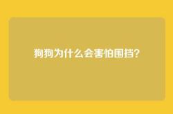 狗狗为什么会害怕围挡？