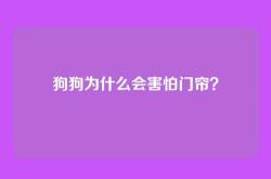 狗狗为什么会害怕门帘？
