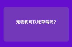 宠物狗可以吃草莓吗？