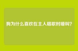 狗为什么喜欢在主人唱歌时嚎叫？