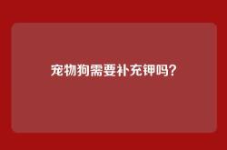 宠物狗需要补充钾吗？