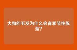大狗的毛发为什么会有季节性脱落？
