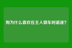 狗为什么喜欢在主人骑车时追逐？