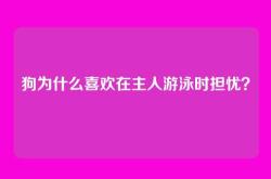 狗为什么喜欢在主人游泳时担忧？