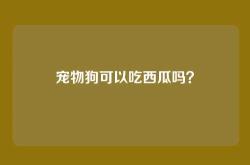 宠物狗可以吃西瓜吗？