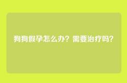 狗狗假孕怎么办？需要治疗吗？