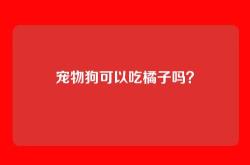 宠物狗可以吃橘子吗？