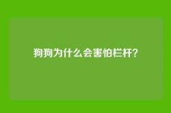 狗狗为什么会害怕栏杆？