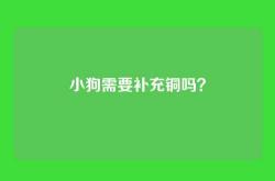 小狗需要补充铜吗？
