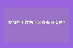 大狗的毛发为什么会有层次感？