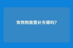 宠物狗需要补充硼吗？