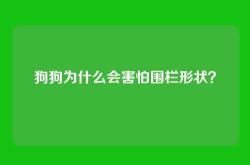 狗狗为什么会害怕围栏形状？