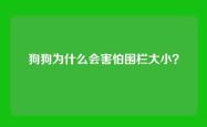 狗狗为什么会害怕围栏大小？