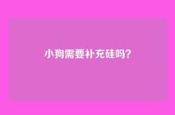 小狗需要补充硅吗？