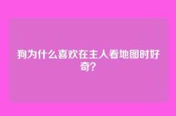 狗为什么喜欢在主人看地图时好奇？