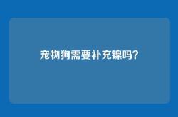 宠物狗需要补充镍吗？
