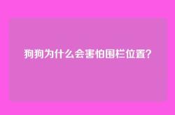 狗狗为什么会害怕围栏位置？