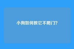 小狗如何教它不爬门？