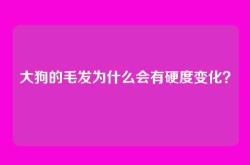 大狗的毛发为什么会有硬度变化？