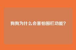 狗狗为什么会害怕围栏功能？