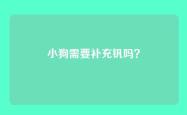 小狗需要补充钒吗？