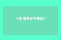 小狗需要补充钒吗？