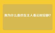 狗为什么喜欢在主人看云时安静？