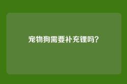 宠物狗需要补充锂吗？