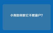 小狗如何教它不爬窗户？