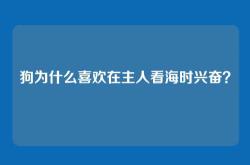 狗为什么喜欢在主人看海时兴奋？