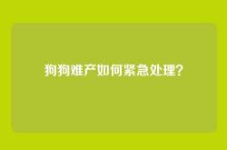 狗狗难产如何紧急处理？