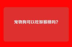 宠物狗可以吃猕猴桃吗？