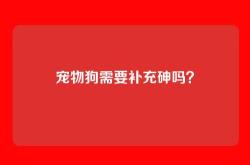 宠物狗需要补充砷吗？
