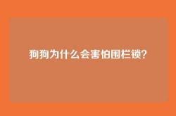 狗狗为什么会害怕围栏锁？