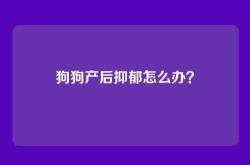 狗狗产后抑郁怎么办？