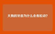 大狗的牙齿为什么会有松动？