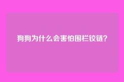 狗狗为什么会害怕围栏铰链？