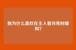 狗为什么喜欢在主人看月亮时嚎叫？