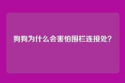 狗狗为什么会害怕围栏连接处？