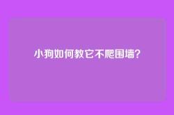 小狗如何教它不爬围墙？