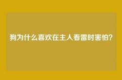 狗为什么喜欢在主人看雷时害怕？