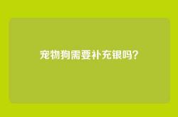 宠物狗需要补充银吗？