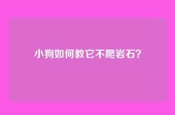 小狗如何教它不爬岩石？