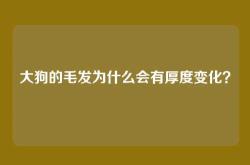 大狗的毛发为什么会有厚度变化？