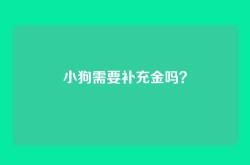 小狗需要补充金吗？