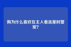狗为什么喜欢在主人看流星时警觉？