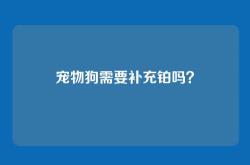 宠物狗需要补充铂吗？