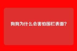 狗狗为什么会害怕围栏表面？