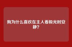 狗为什么喜欢在主人看极光时安静？