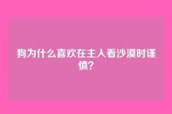 狗为什么喜欢在主人看沙漠时谨慎？